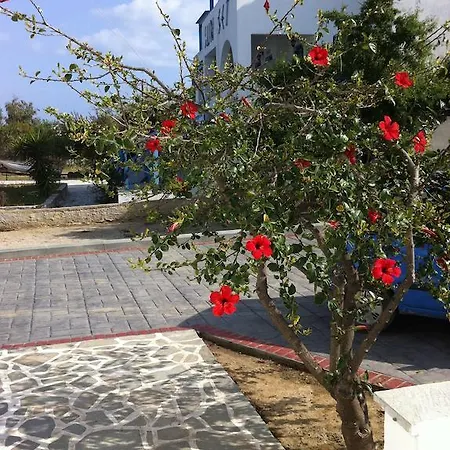 Vagos 2 Agios Prokopios (Naxos)